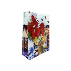 1pza Bolsa de regalo chica de plástico, variedad de diseños 24x18cm / R508