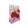 1pza Bolsa de regalo chica de plástico, variedad de diseños 24x18cm / R508