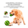 Pelota de limpieza dental para mascotas mas.05.2