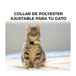 1pza Collar con diseño de huellas o línea reflejante con cascabel para mascota, variedad de colores y diseños / mas.09