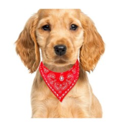 1pza Collar bandana paliacate pañuelo ajustable talla chica para mascota 30cm, variedad de colores / mas.23.1.*30
