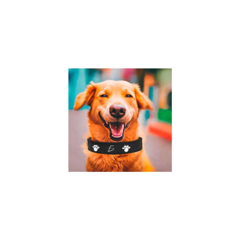 Collar ajustable de piel sintética con decoración de huellas metálicas talla L, variedad de colores / MAS.09.4. L