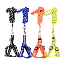 Juego de pechera ajustable y correa 1cm de grosor con detalles reflectivos, variedad de colores / jr1284