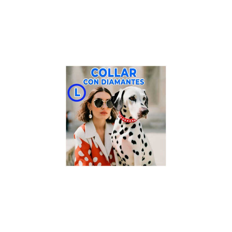 Collar de piel para mascotas con pedrería talla l, variedad de colores / mas.09.6.l
