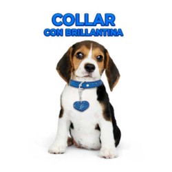 Collar ajustable para mascotas con brillantina y dije de corazón talla M, variedad de colores / MAS.09.5.M