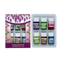 Juego con 6 esencias de aceite para humidificador, variedad de aromas / hn1804