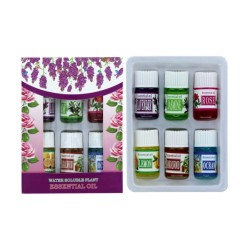 Juego con 6 esencias de aceite para humidificador, variedad de aromas / hn1804